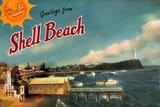 dark-city-shell-beach