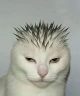 1000016976