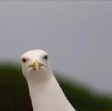 273844842_375637607721476_2374876855921480467_n