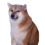 7b0379d9568e96ee071450e216e4b82ffffd7daefb5348a98cb768355f7bb070