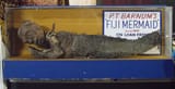 CIUSA_Feejee+Mermaid_2022_02+copy