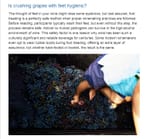 winemakers