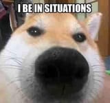 doge situation