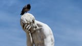 facepalm-e1553251798741-1200x675