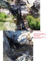 before and after cattle hydrology effects