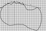 A-longitudinal-cross-section-contour-based-on-the-same-real-human-body-as-in-Fig-4-The