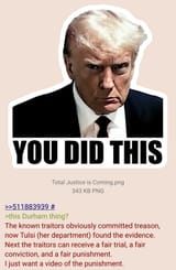 Justice for treason