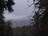 DSC01545 - Copy