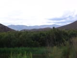 DSC02292 - Copy