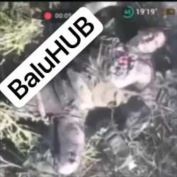 2025-07-25__71br__edit_thumb.jpg