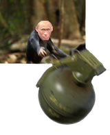 416