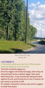 Earth without niggers