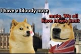 ayNPXQW_700b