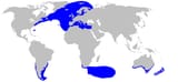 Lamna_nasus_distmap