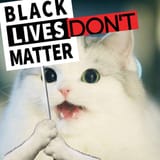 The Nigger Cat on black lives