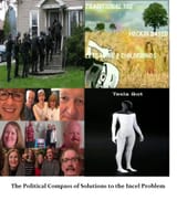 Incel Solutions Political Compass