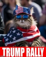 cat rally
