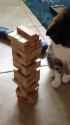 Jenga Cat_thumb.jpg