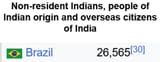 indians in brazil