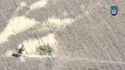 0_32, playdead_thumb.jpg