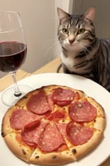 Cat_9718