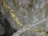 GoldVein