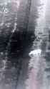 1751040471242338_thumb.jpg