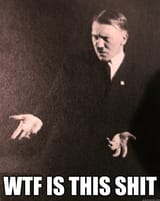 1491263231217