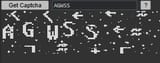 Screenshot_2-8-2025_10247_boards.4chan.org