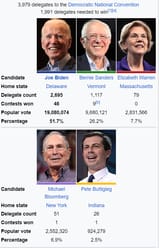 2020 dem primary