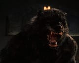 WWolf