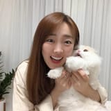 cat lady