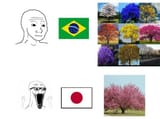 jappa trees