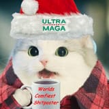 Comfy Nigger Cat_ 01b