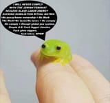 Thread 512046692 OP Image