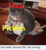 Thread image