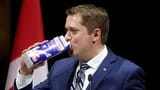 sips