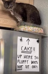 cake (1)