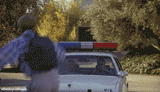 gleaming the cube