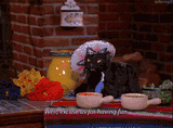 salem-the-cat-still-life-nytteraigifs-for-having-fun-well-excuse-us