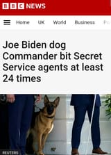 Screenshot_20250802-132018.Chrome~2