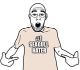 SEAGULLHATE