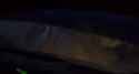 Russian militants filmed their vehicle blowing up on a mine. A massive fireworks display, then everything’s ablaze. Ukrainian surprises. 23-03-2025 _thumb.jpg