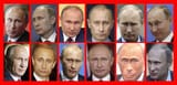 clones of shelomov