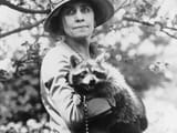 calvin-coolidge-raccoon-named-rebecca-he-also-had-another-raccoon-10-dogs-three-canaries