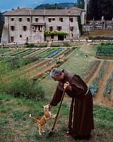 monk cat field farm god