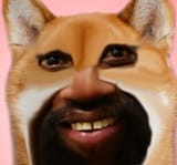 you might think he loves you for your scooby snacks
