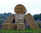strawman
