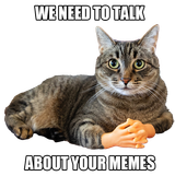 meme_cat