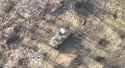 ziggers_0010228_thumb.jpg
